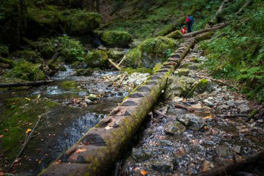Two backpackers (a woman with a little son) are walking along a creek in a canyon of the Slovak Paradise National Park, Slovakia.