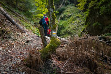 Two backpackers (a woman with a little son) are walking along a creek in a canyon of the Slovak Paradise National Park, Slovakia.