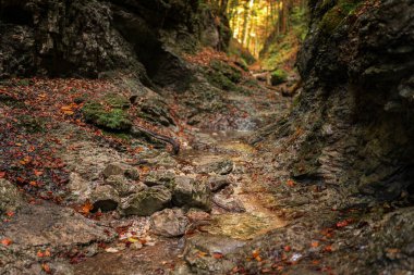 The trail through the beautiful canyon of the Slowacki Raj National Park. Slovakia