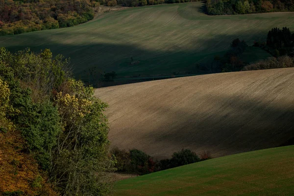 在捷克摩拉维亚起伏的田野里 一个美丽的影子在嬉戏 — 图库照片