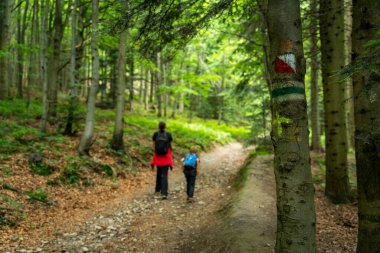 Yürüyüş yolunun yeşil izi, bir ağaca çizilmiş. İşaretleme bizi varış noktamıza götürecek. Arka planda gezinen turistler. Polonya dağları