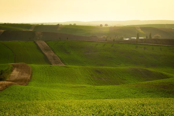 stock image Wonderful landscapes of autumn Moravian fields in the golden hour. Czech Republic