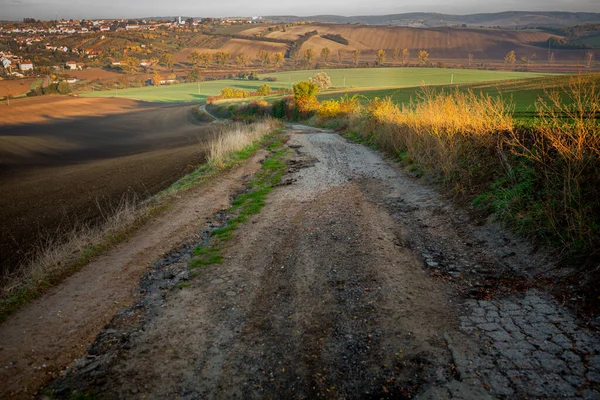 Sonbaharda güzel Moravya tarlalarından geçen yok olmuş bir yol. Çek Cumhuriyeti