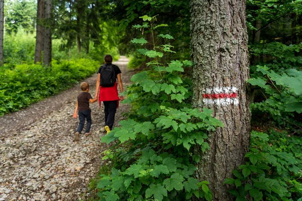 Rote Markierung Des Wanderweges Auf Einen Baum Gemalt Die Markierung — Stockfoto