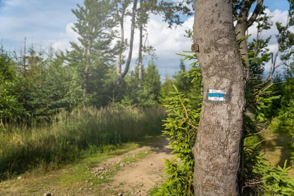 Marking the hiking trail in blue, painted with paint on a tree. Marking will lead us to our destination without wandering along the way. Polish mountains