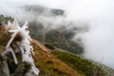 Karkonosze Dağları 'nda geniş bir dağ manzarası. Polonya dağları