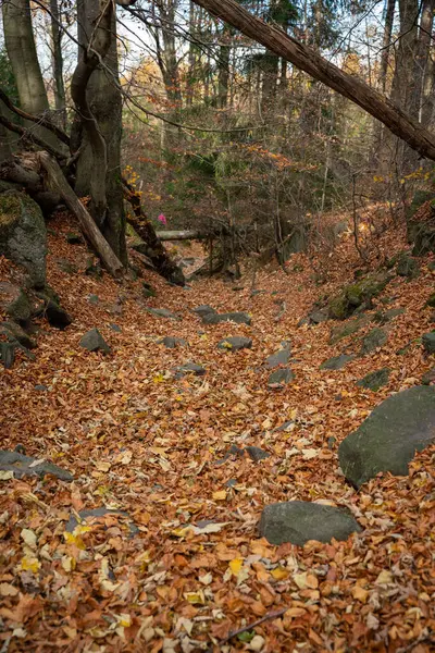 Bergwanderweg Während Der Herbstsaison Sonniger Tag — Stockfoto