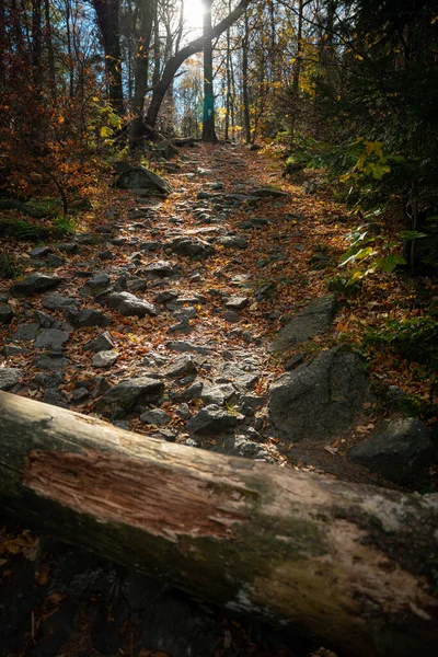 stock image Mountain hiking trail during the fall season. Sunny day.