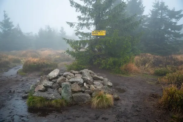 Uitzicht Het Bergpad Bij Nat Herfstweer Poolse Bergen — Stockfoto