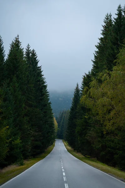 Ein Gerader Abschnitt Einer Asphaltstraße Den Bergen Durch Den Wald lizenzfreie Stockfotos