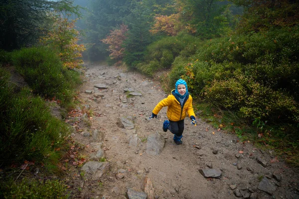 Een Gelukkig Kind Rent Een Bergpad Poolse Bergen — Stockfoto