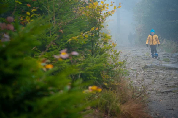 这个孩子在凉爽的秋天里走在山路上 波兰山区 — 图库照片