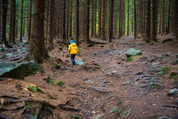 Mutlu Bir Çocuk Dağ Yolunda Koşuyor Polonya Dağları — Stok fotoğraf