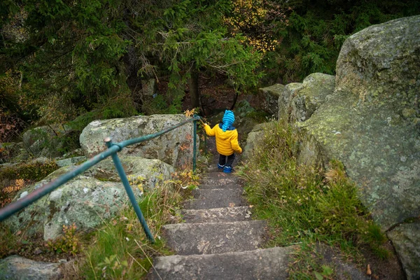 Дитина Спускається Кам Яних Сходах Дорозі Гори Польські Гори — стокове фото