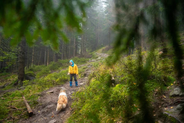 Мама Сином Вирушають Гірську Стежку Мокру Осінню Погоду Супроводжує Собака — стокове фото