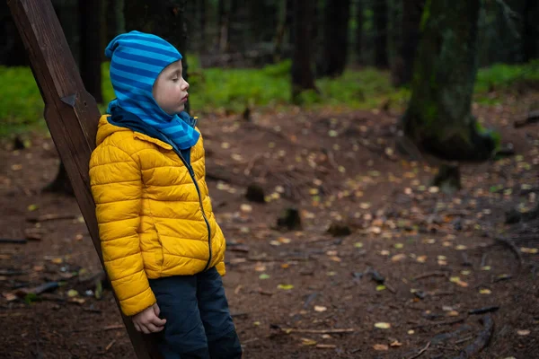 아이는 기대어 폴란드 의산들 — 스톡 사진