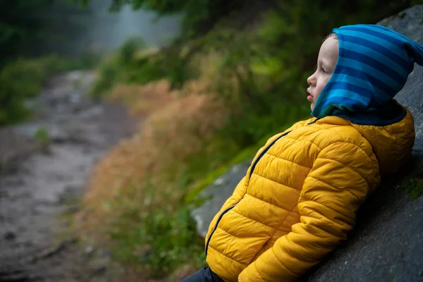 아이는 커다란 기대어 폴란드 의산들 — 스톡 사진