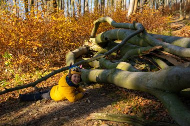 Ufaklık turist yolunda alabora oldu ve gülüyor. Sonbahar sezonu