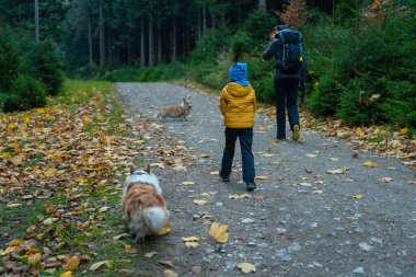 Çocuğu ve köpeği olan bir anne dağ yürüyüşü patikasında yürüyor. Ailece vakit geçirmek. Polonya dağları
