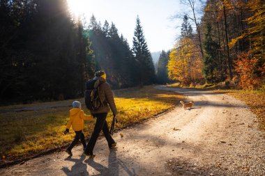 Çocuğu ve köpeği olan bir anne dağ yürüyüşü patikasında yürüyor. Ailece vakit geçirmek. Polonya dağları