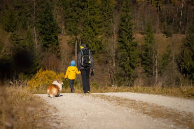 Çocuğu ve köpeği olan bir anne dağ yürüyüşü patikasında yürüyor. Ailece vakit geçirmek. Polonya dağları
