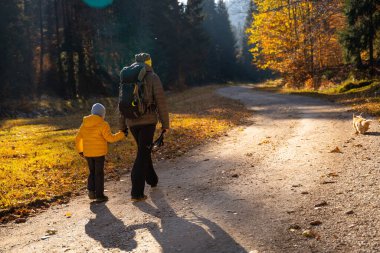 Çocuğu ve köpeği olan bir anne dağ yürüyüşü patikasında yürüyor. Ailece vakit geçirmek. Polonya dağları