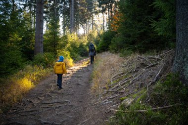 Çocuğu ve köpeği olan bir anne dağ yürüyüşü patikasında yürüyor. Ailece vakit geçirmek. Polonya dağları