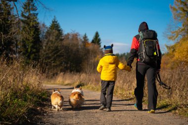 Anne ve çocuk dağ yürüyüşü yolunda yürüyorlar. Ailece vakit geçirmek. Polonya dağları