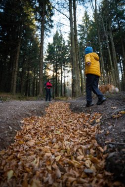 Çocuğu ve köpeği olan bir anne dağ yürüyüşü patikasında yürüyor. Ailece vakit geçirmek. Polonya dağları