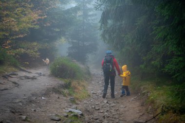 Anne ve küçük oğlu nemli sonbahar havasında dağ yoluna çıkarlar. Onlara bir köpek eşlik ediyor. Polonya dağları