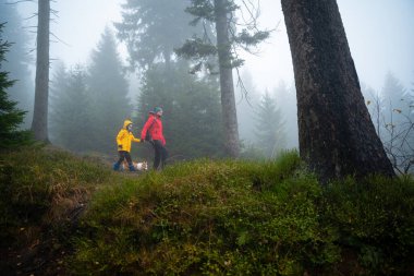 Anne ve küçük oğlu nemli sonbahar havasında dağ yoluna çıkarlar. Onlara bir köpek eşlik ediyor. Polonya dağları