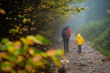 Anne ve küçük oğlu nemli sonbahar havasında dağ yoluna çıkarlar. Onlara bir köpek eşlik ediyor. Polonya dağları
