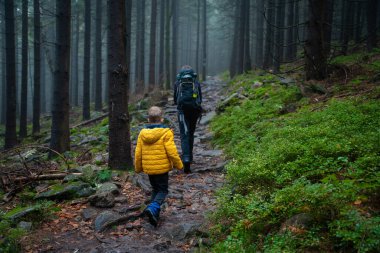 Anne ve küçük oğlu nemli sonbahar havasında dağ yoluna çıkarlar. Polonya dağları