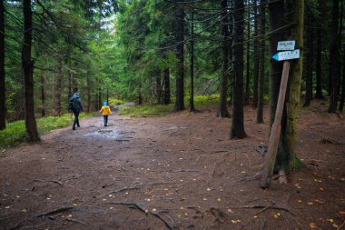 Anne ve küçük oğlu nemli sonbahar havasında dağ yoluna çıkarlar. Polonya dağları