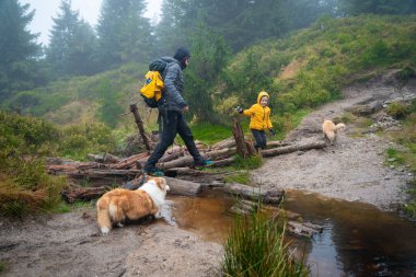 Anne ve oğlu ve köpekleri küçük bir derede uzanan kütüklerin üzerinde yürüyorlar. Polonya dağları