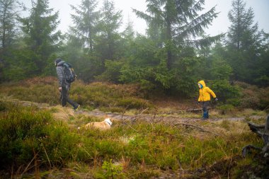 Anne ve küçük oğlu nemli sonbahar havasında dağ yoluna çıkarlar. Onlara bir köpek eşlik eder..