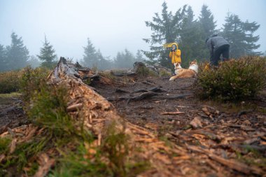 Anne ve küçük oğlu nemli sonbahar havasında dağ yoluna çıkarlar. Onlara bir köpek eşlik ediyor. Polonya dağları