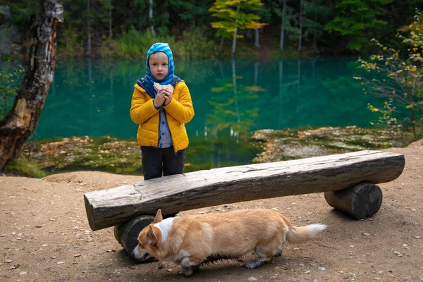 Ein Kind Und Ein Hund Ruhen Sich Auf Einer Bank — Stockfoto