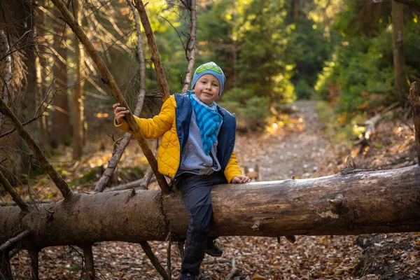 Kleines Kind Auf Einem Umgestürzten Baum Auf Einem Bergweg Herbstzeit — Stockfoto