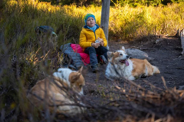Een Klein Kind Rust Uit Eet Een Maaltijd Met Honden — Stockfoto