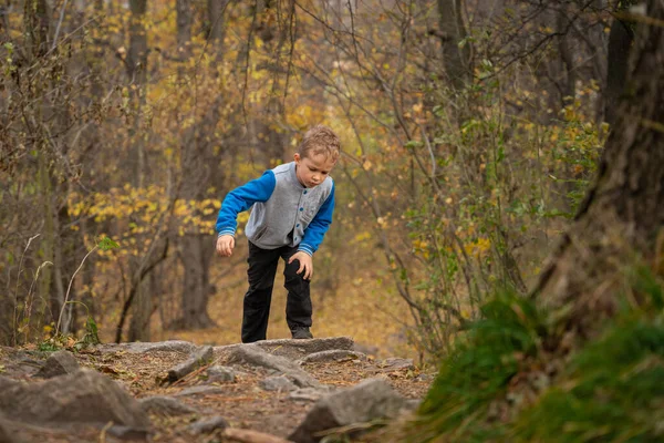 Das Kleine Kind Geht Den Bergweg Hinauf Herbstsaison — Stockfoto