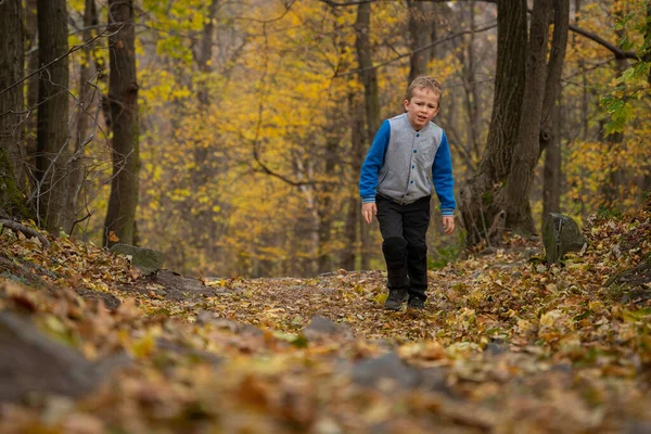Das Kleine Kind Läuft Den Bergweg Entlang Herbstsaison — Stockfoto