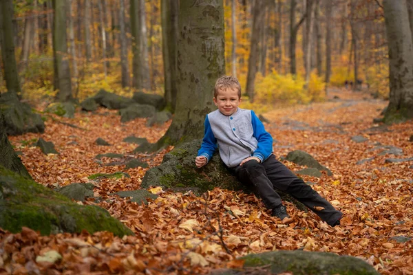 Das Kleine Kind Geht Den Bergweg Hinauf Herbstsaison — Stockfoto