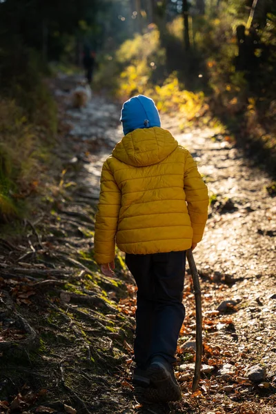 Het Kleine Kind Loopt Het Bergpad Herfstseizoen — Stockfoto
