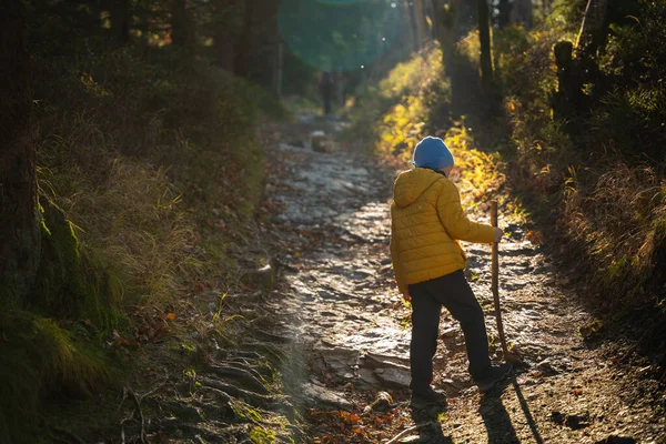 Küçük Çocuk Dağ Yolunda Yürüyor Sonbahar Sezonu — Stok fotoğraf