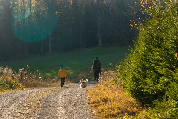 Een Moeder Met Een Kind Een Hond Wandelen Bergwandelweg Familie — Stockfoto