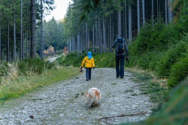 Çocuğu Köpeği Olan Bir Anne Dağ Yürüyüşü Patikasında Yürüyor Ailece — Stok fotoğraf