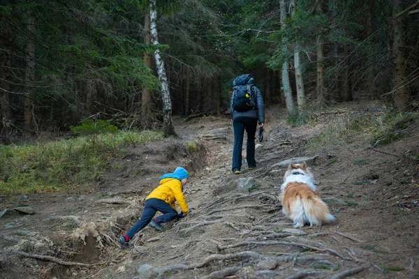 Mother Child Dog Walking Mountain Hiking Trail Family Spending Time — Stock Photo, Image