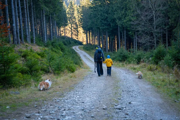 Egy Anya Egy Gyerekkel Egy Kutyával Sétál Hegyi Túraútvonalon Családi — Stock Fotó