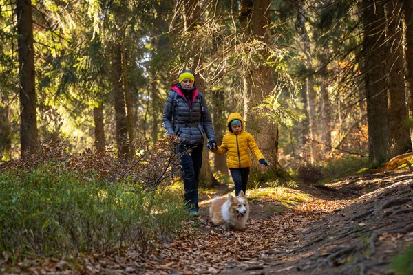 Mamma Med Ett Barn Och Hund Går Längs Fjällvandringsleden Familjen — Stockfoto